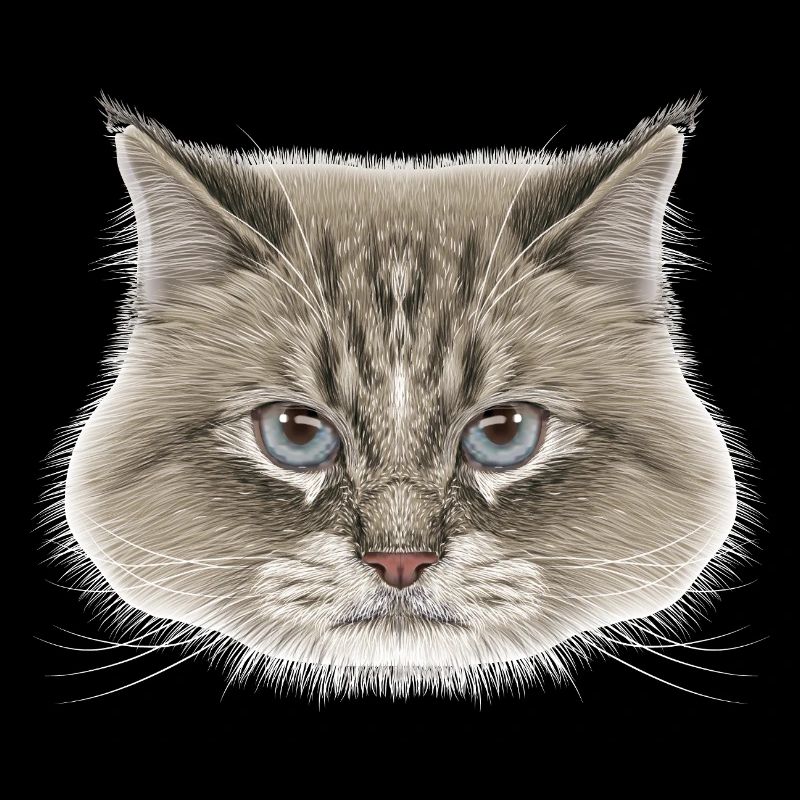 Siberian Cat