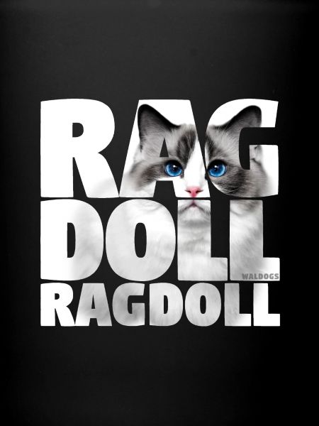 Ragdoll III