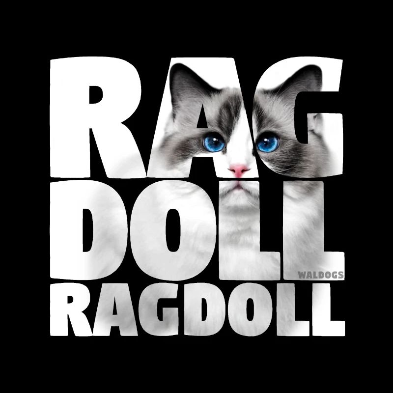 Ragdoll III