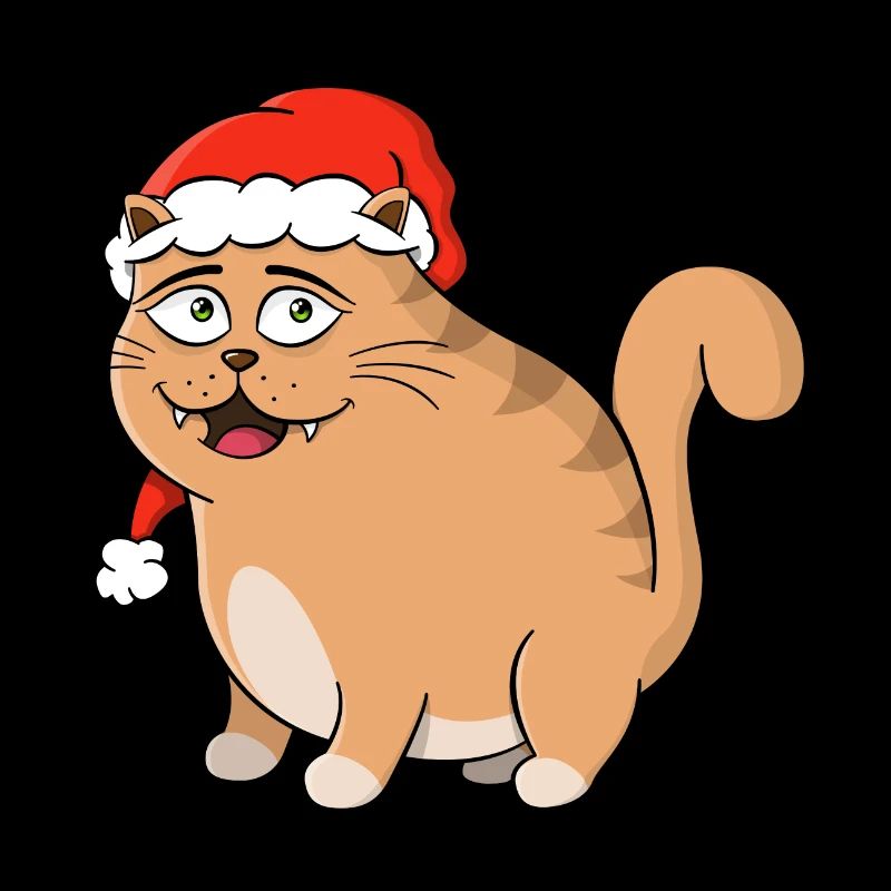 Chat de noel