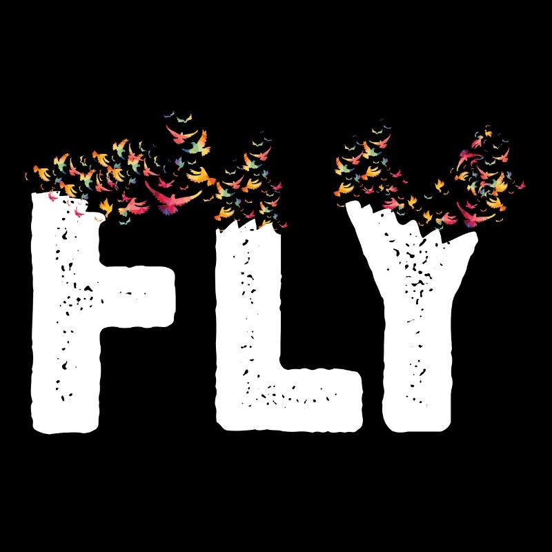 Fly
