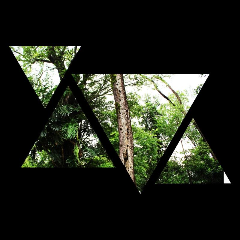 Wald | Natur | Dreieck | Geschenkidee