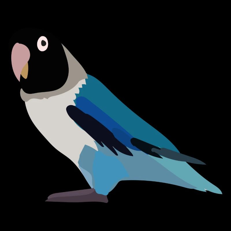Perroquet noir bleu