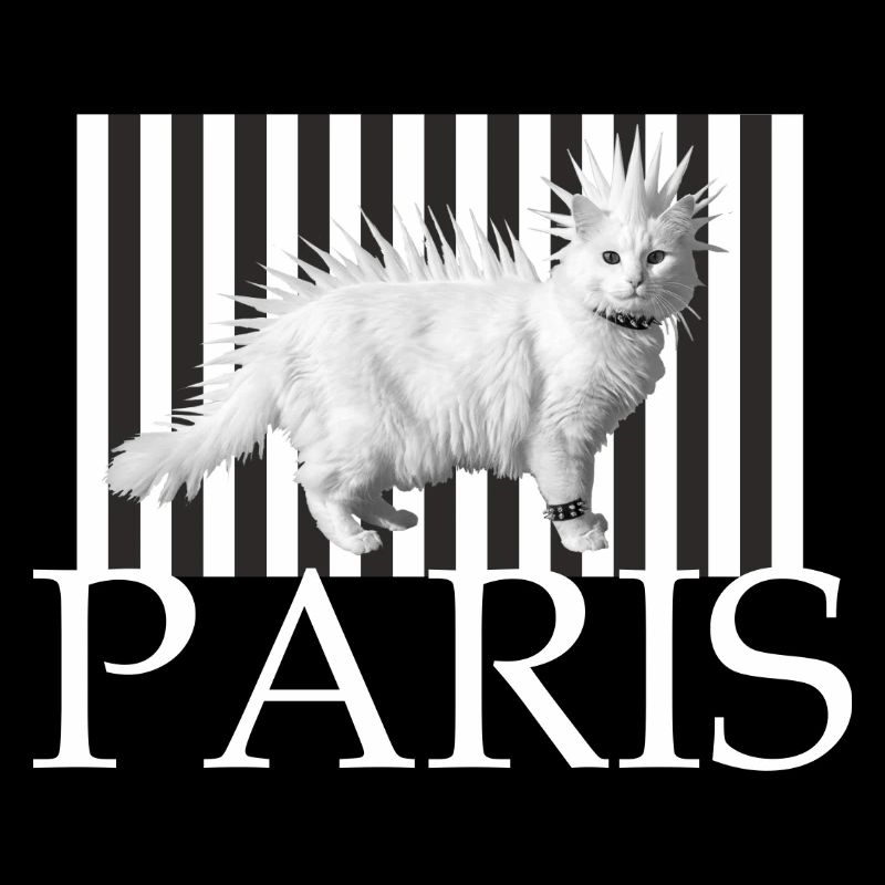 Paris Mohawk Punk Cat en rayures
