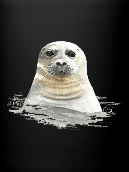 Robbe