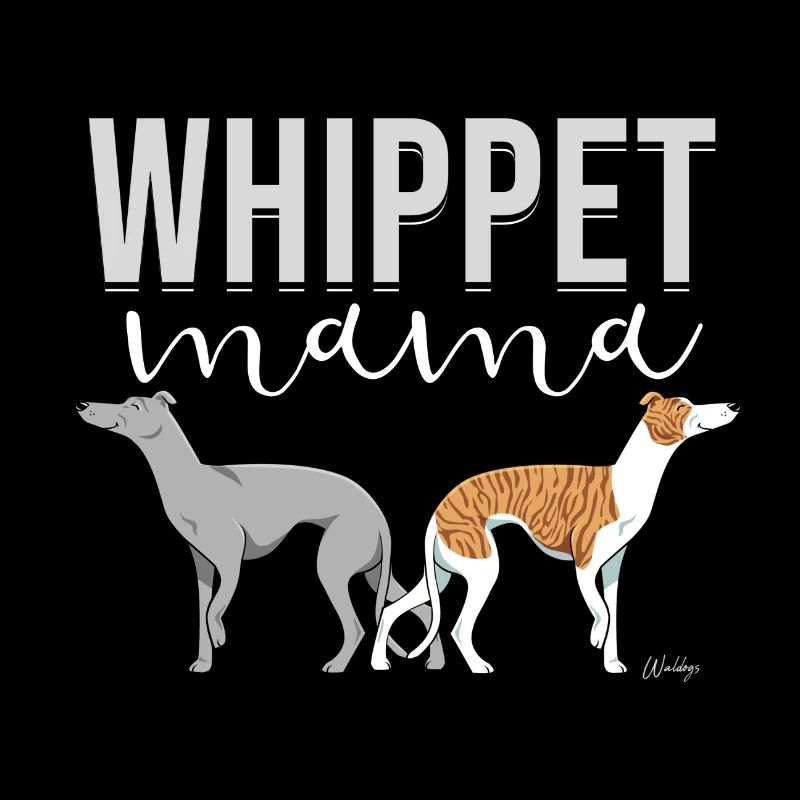 Whippet Maman