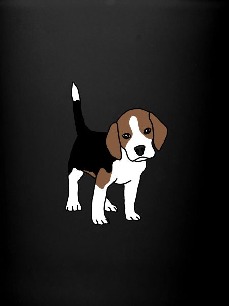 Beagle, chiot, chien
