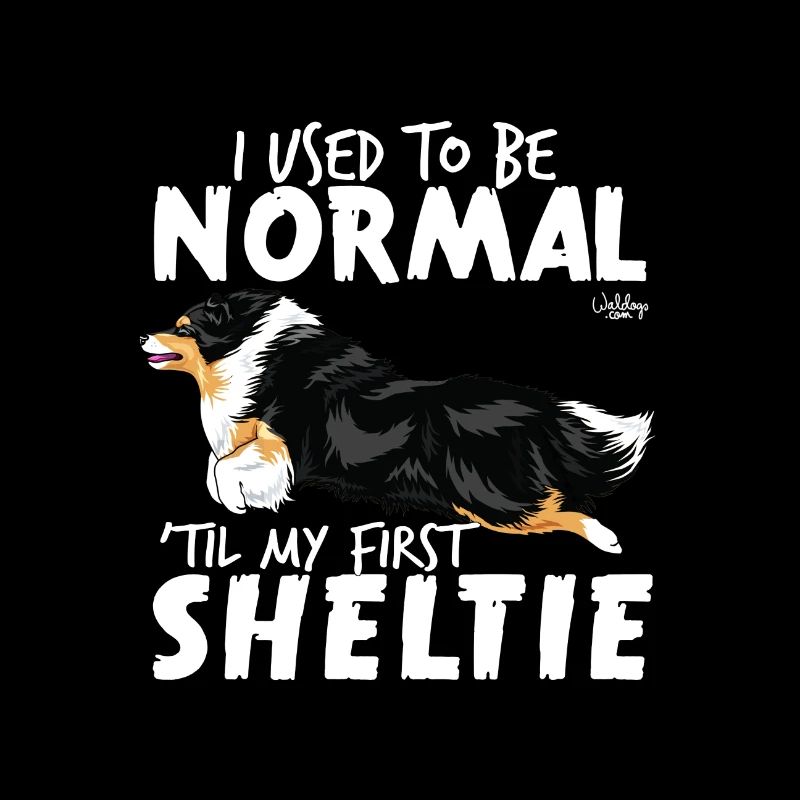 sheltienormal2