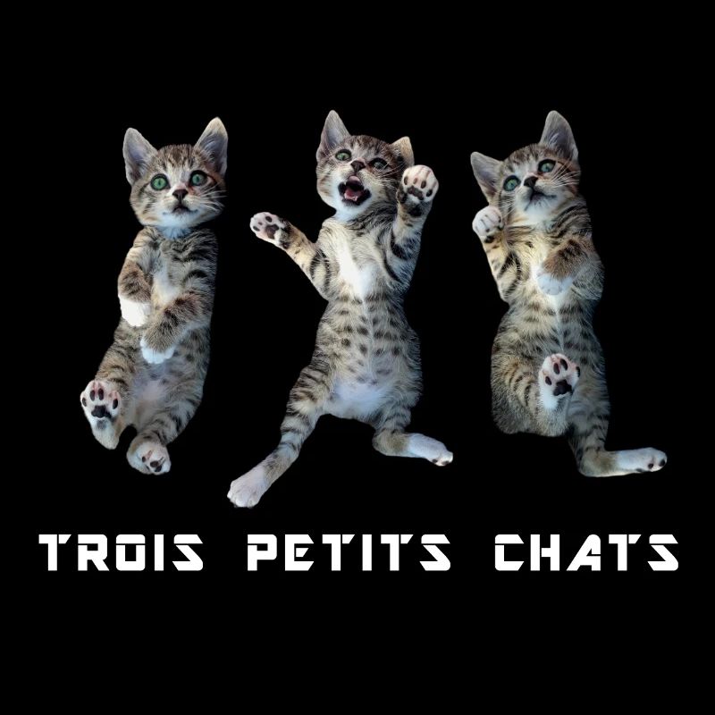 3 little cats