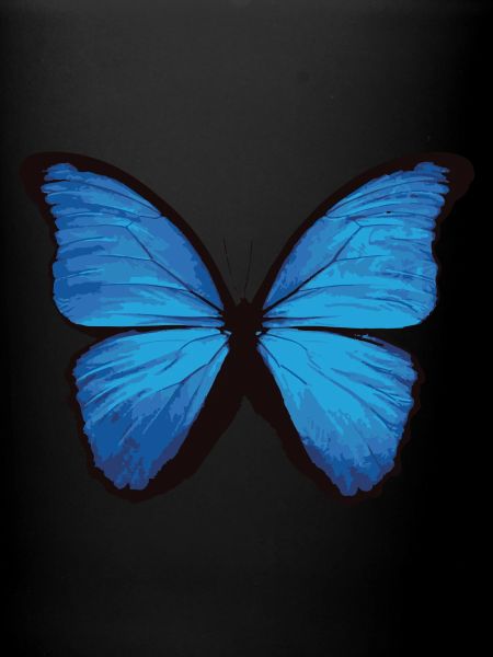 Papillon - bleu