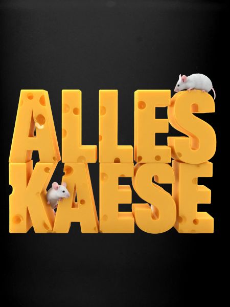 All cheese