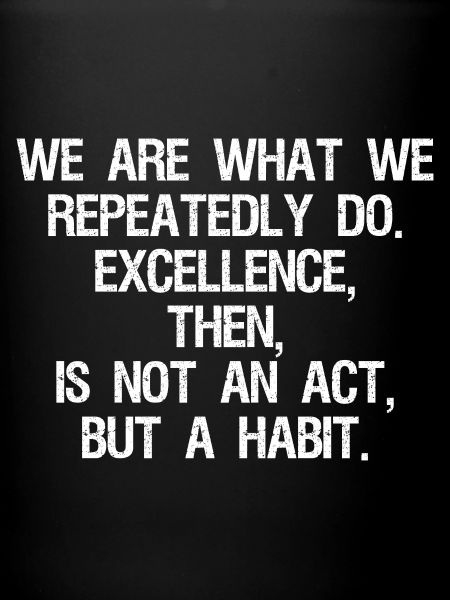 we are what we repeatedly do excellence then is