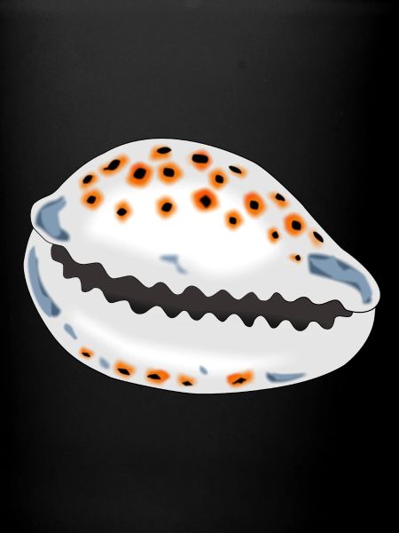 Shell with dots