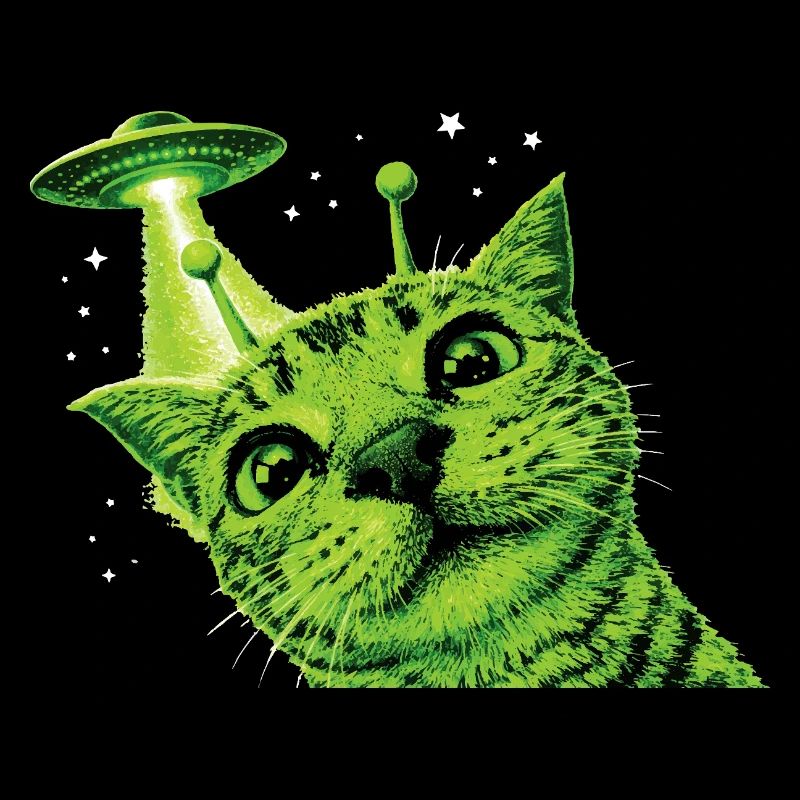 Alien Cat UFO