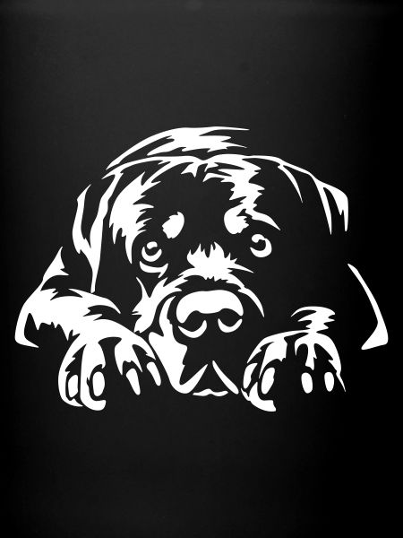 Rottweiler « Édition Noire »