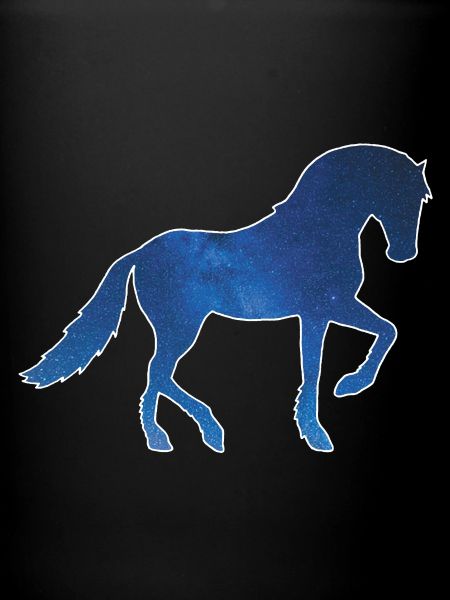 Cheval et univers