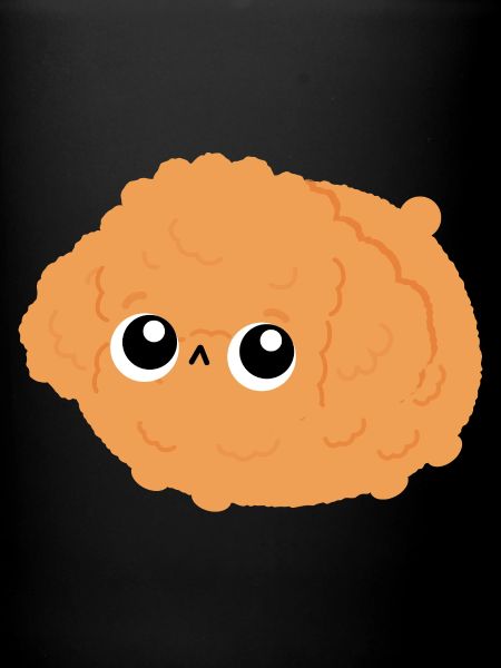 Oranger Fluffy Pudel