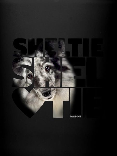 NASSU Sheltie 06