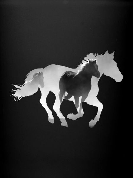 Cheval au galop