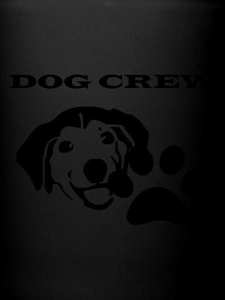 Hunde Team