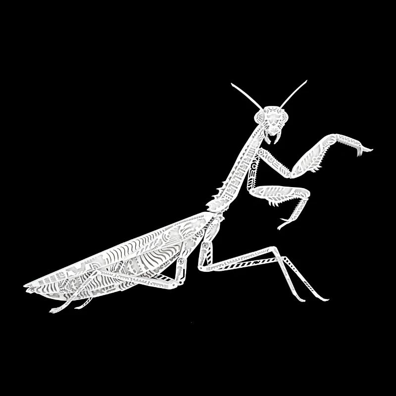 Mantis
