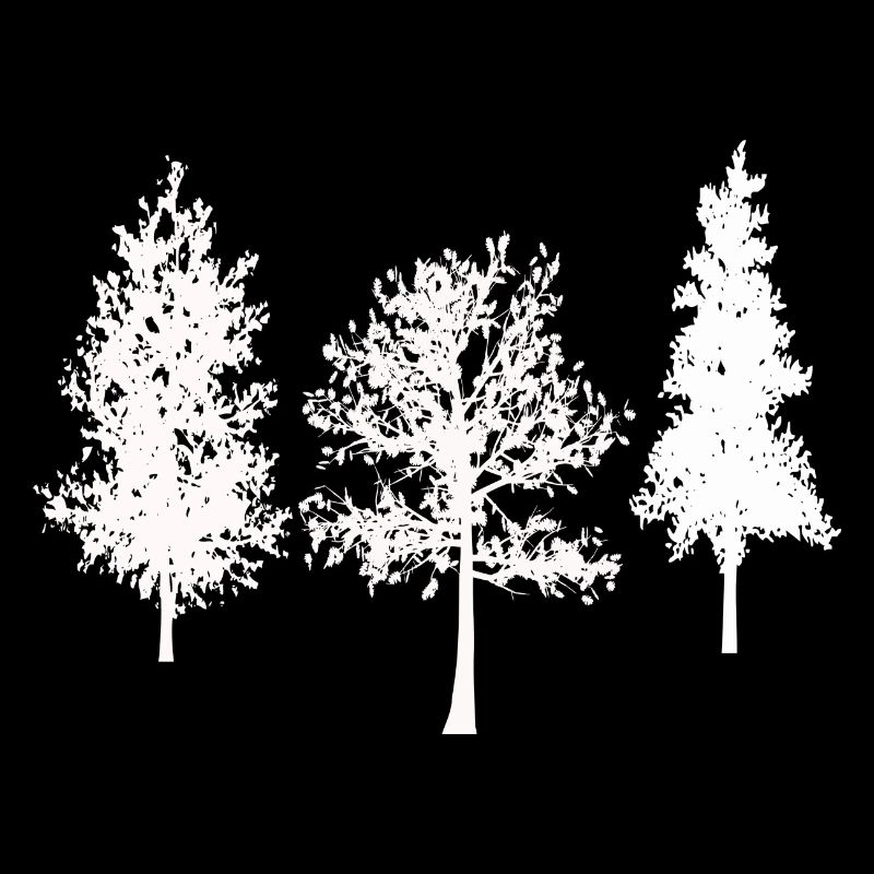 Forest Trees Nature Hiking Nature Design