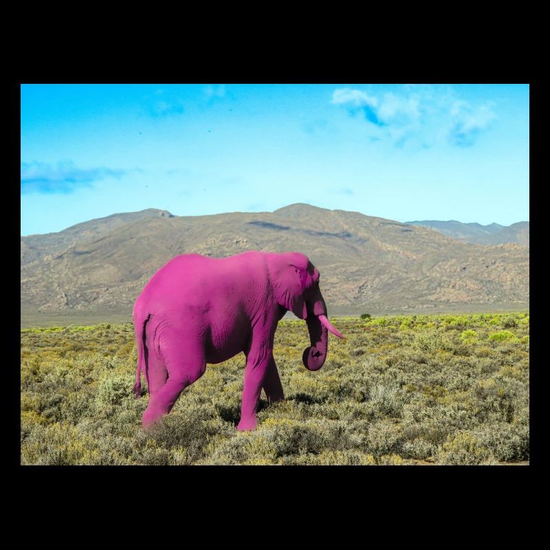 Rosa Elefant in der verlassenen Savanne