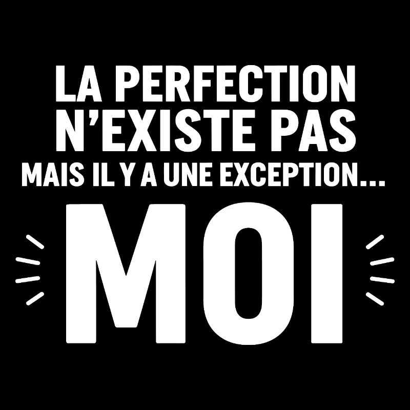 La Perfection n'existe Pas mais il y a Une