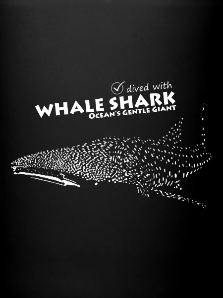 requin-baleine