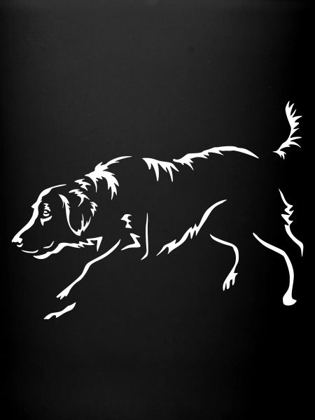 Flat-coated Retriever "Black Edition"