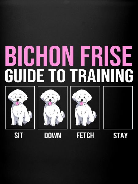 Bichon Frise