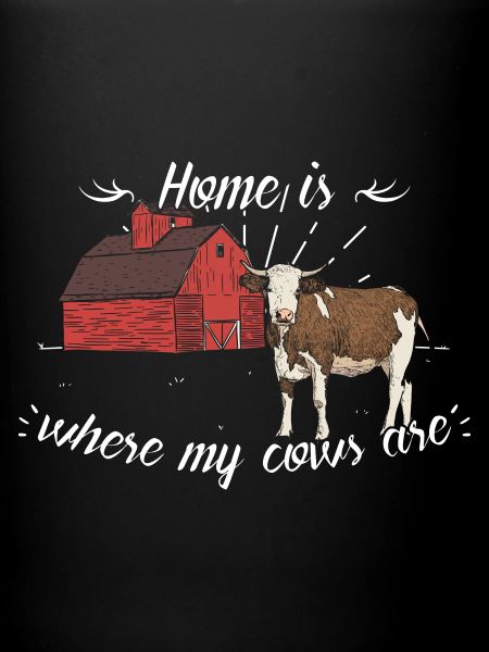 vaches