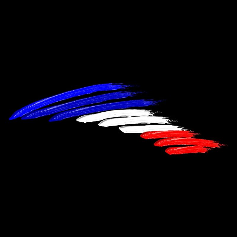 France national flags flag colors creative