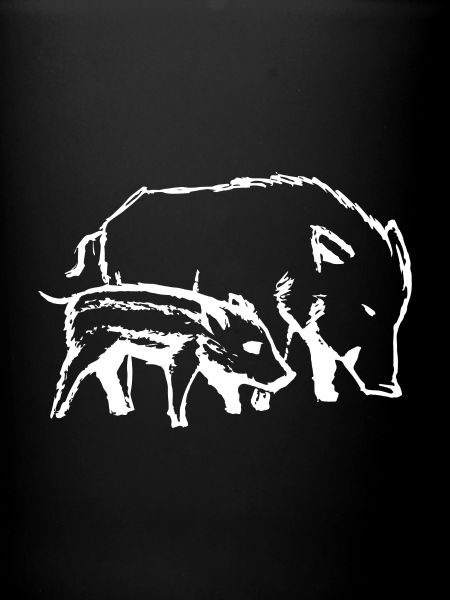 pigs