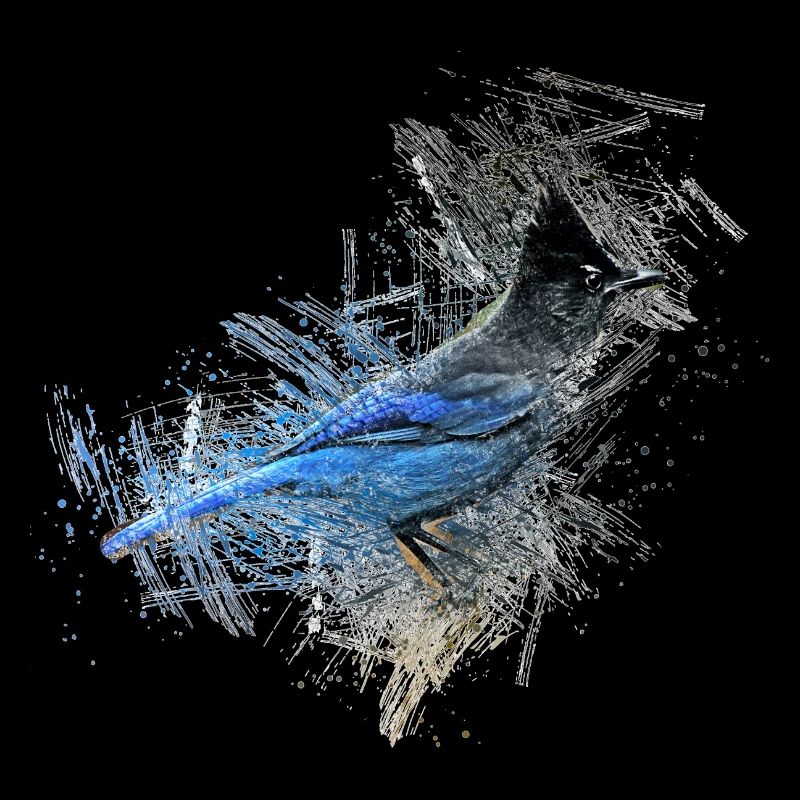 Oiseau bleu