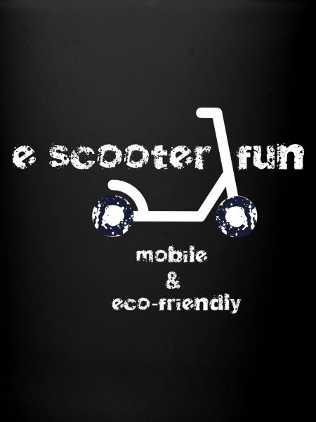 E Scooter Fun