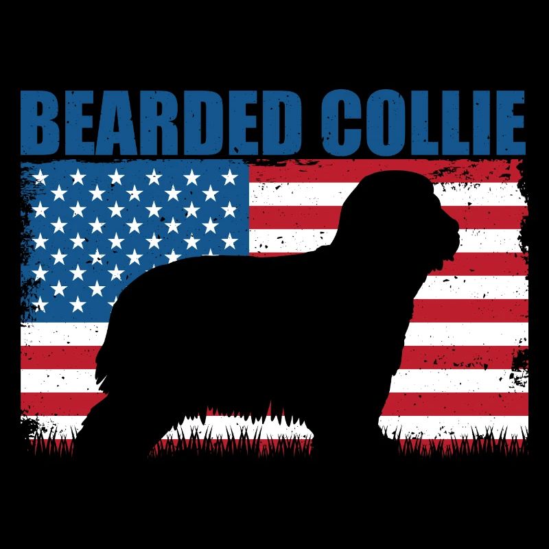 Bearded Collie