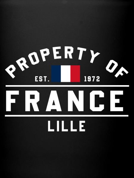 Drapeau français petit design