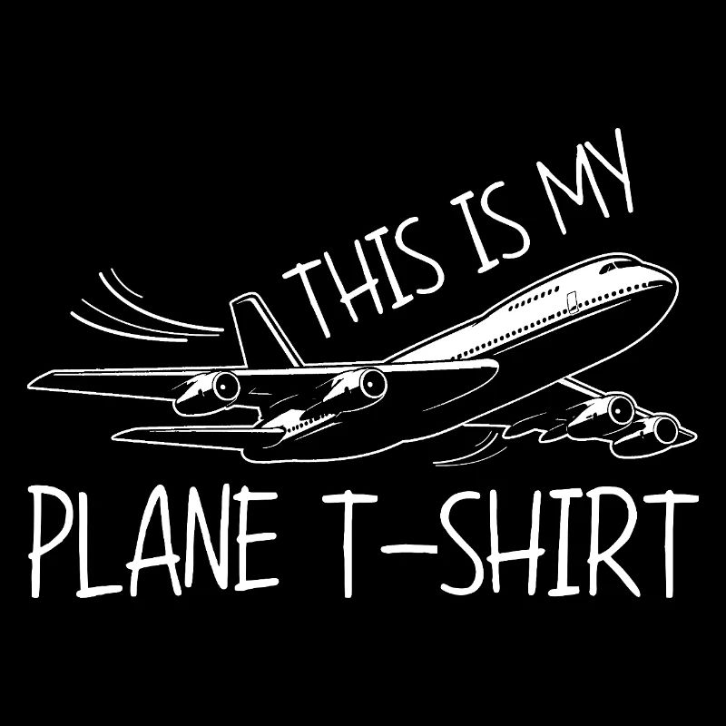 Flugzeug Flug Pilot Flugzeug Fluggesellschaft