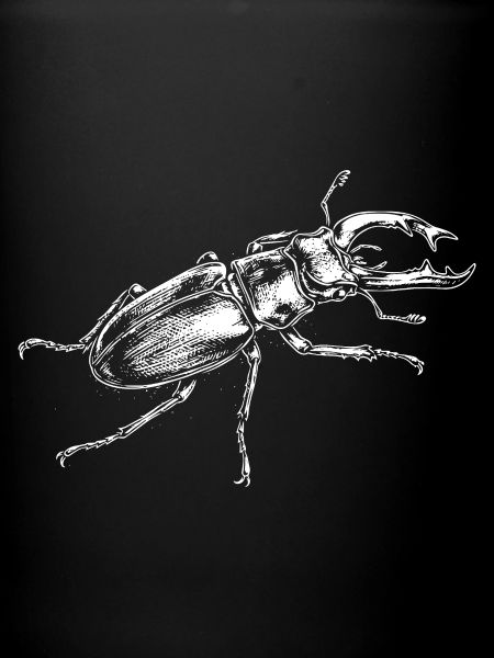Big Insect drawing design