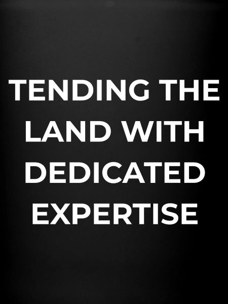 Welder Dedicated Expertise