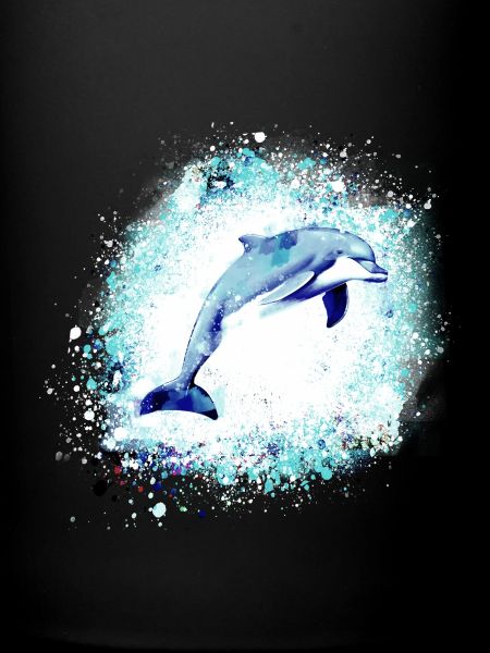 Dauphin, graffitis, peinture,bleu,poisson,
