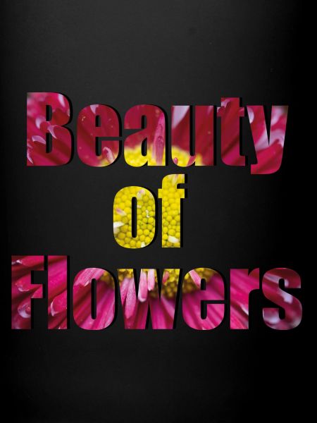 Beauty of Flowers