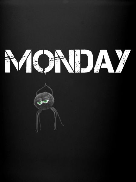 Monday Spider