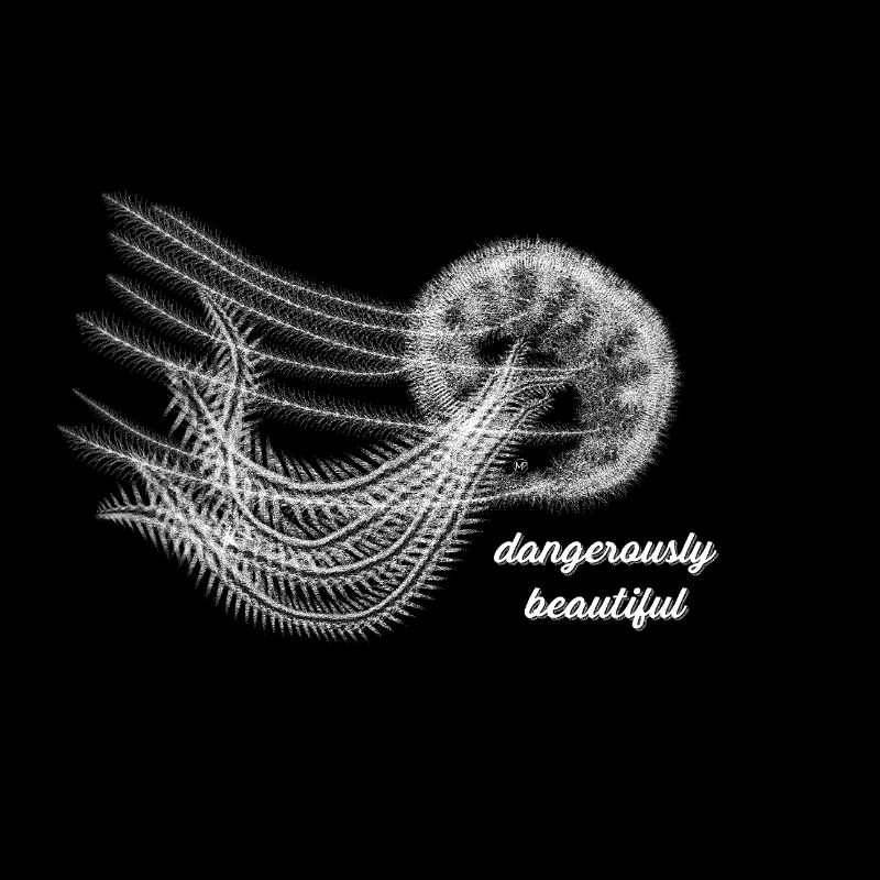 Dangerously Beautiful – Elegant Jellyfish & Sea