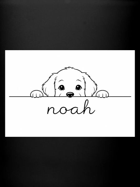 petit chiot regarde Noah.