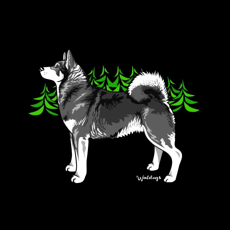 Jämtlander Spitz Metta