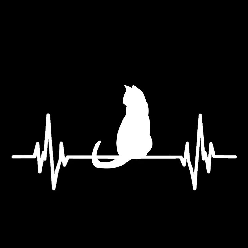Chat idée cadeau chat chats