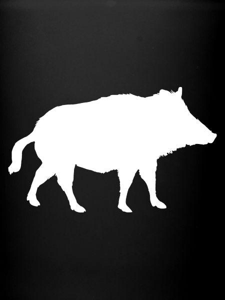 Sanglier blanc