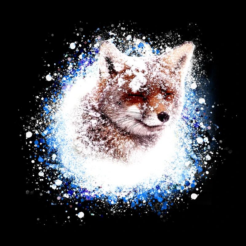 fuchs ,Graffiti, Malerei,fuchs im schnee, schnee